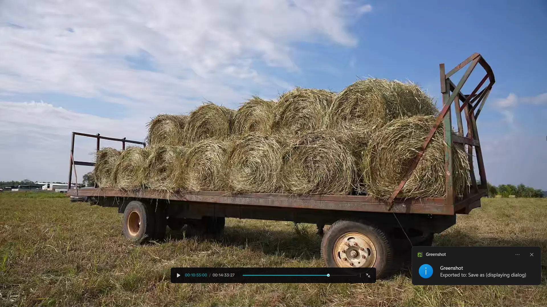 Fardos de pasto Brizantha cargados en un carro